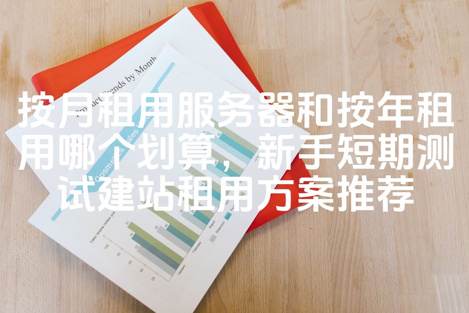 图片[1]-服务器租用成本比较：月租与年租哪个更划算？新手短期建站租用方案SEO推荐-七七源码网