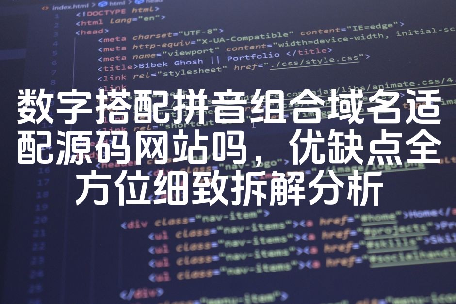 图片[1]-数字拼音组合域名适配源码网站解析：优缺点深度剖析与SEO优化指南-七七源码网