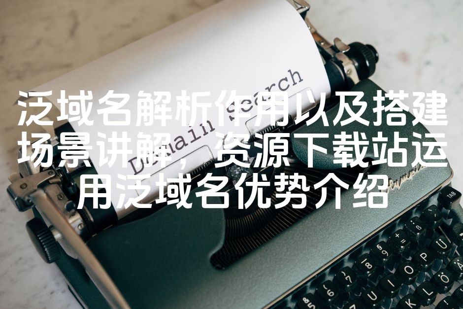 图片[1]-泛域名解析优势解析：搭建资源下载站最佳场景与核心优势揭秘-七七源码网
