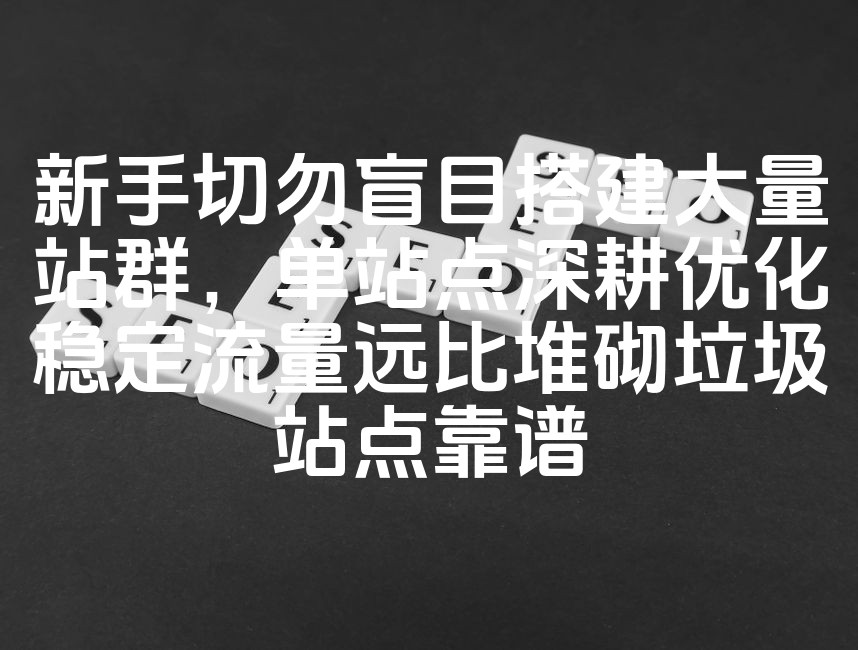 图片[1]-单站点深耕优化，稳定流量优于盲目堆砌站群：新手SEO明智之选-七七源码网