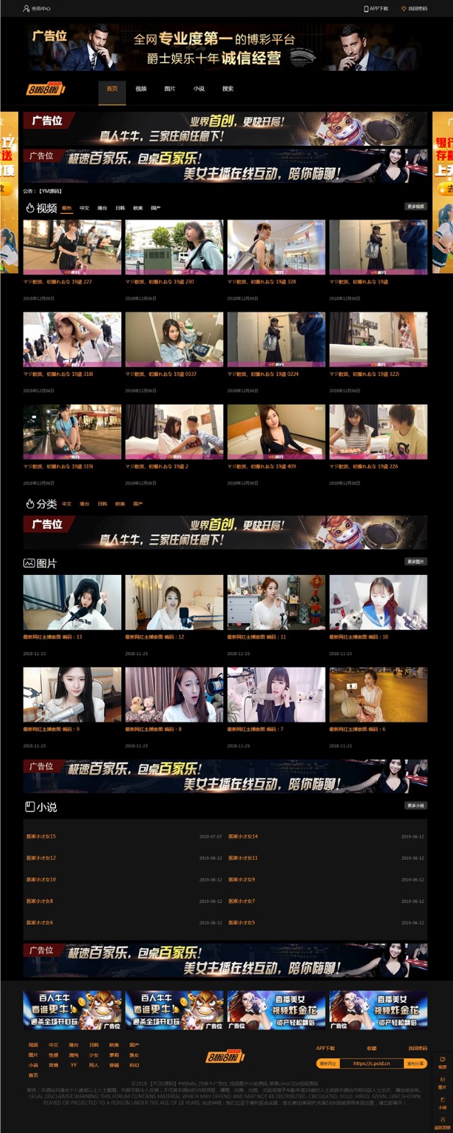 H站网站源码下载_带小说模块和图片自营式-七七源码网
