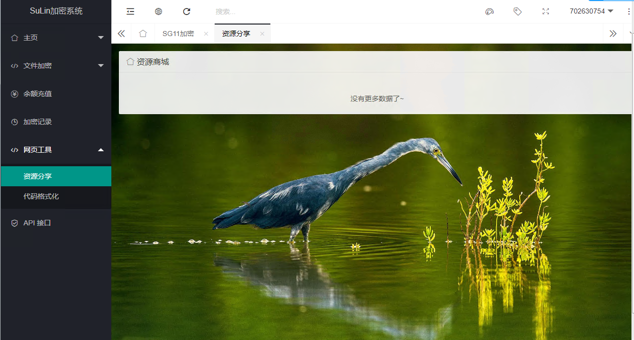 苏林加密系统源码+多种加密+API接口+PHP 图片