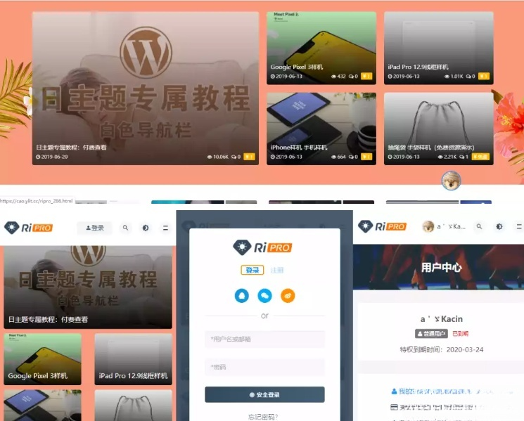 RiPro主题WordPress源码无限制版V8.7 图片