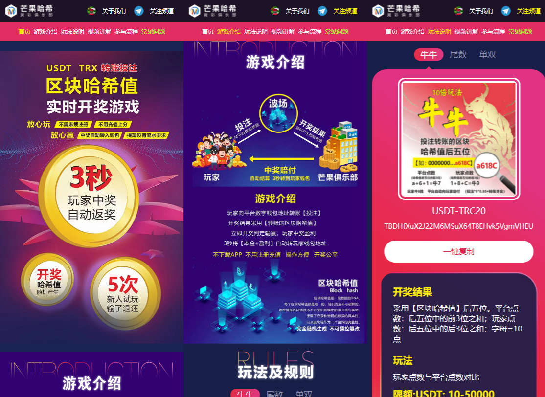 哈希竞猜智能合约返奖系统PHP源码 - SEO优化版-七七源码网