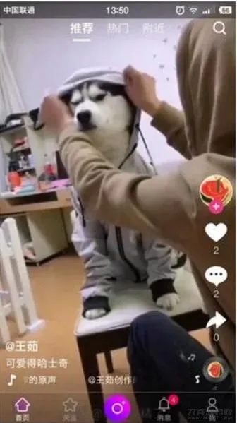 【云豹二开源码】2021版云豹二次开发完整教程+源码+直播+视频教学+开发文档大全-七七源码网